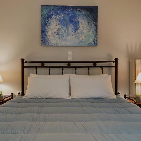 Petmeza16 Apartment เอเธนส์ ภายนอก รูปภาพ